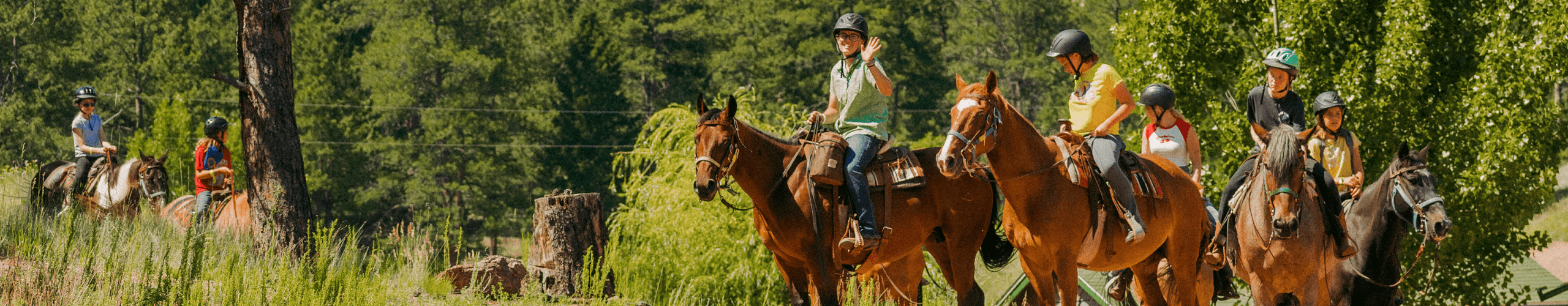 People riding horses and waving